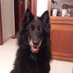 Mª Antonia Gallardo (@mariaantoniagal) Twitter profile photo Mª Antonia Gallardo (@mariaantoniagal) Twitter profile photo