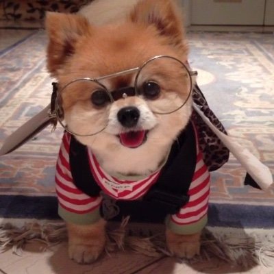 きーぽんさんのプロフィール画像