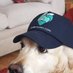 I love Cowes (@ilovecowes) Twitter profile photo I love Cowes (@ilovecowes) Twitter profile photo