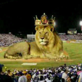 garman25's profile picture. 