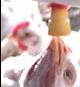 Non-pin based nipple drinker systems is our main business. Avicorvi is a family owned and operated business with more than 30 years in the poultry industry.