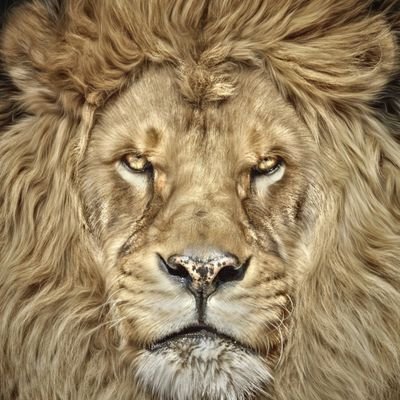 mykael_miranda's profile picture. Dios! tenga de piedad de nosotros...