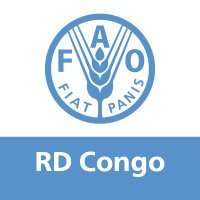 FAO en République démocratique du Congo(@FAORDCongo) 's Twitter Profile Photo