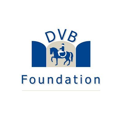 DVB Foundation