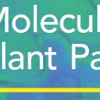 Molecular Plant Pathology (@mppjournal) 's Twitter Profile Photo Molecular Plant Pathology (@mppjournal) 's Twitter Profile Photo