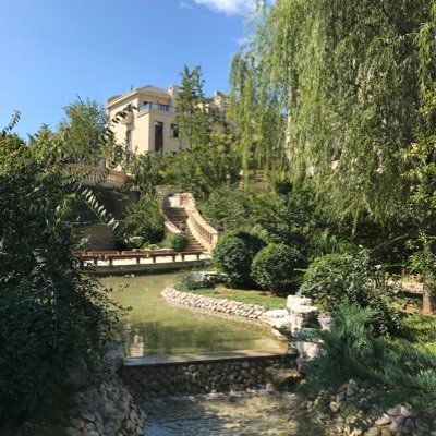 elliottshan's profile picture. 观光客