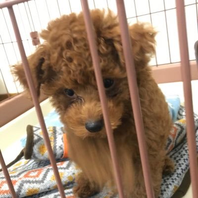 baseball092833's profile picture. 