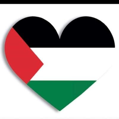 I'm proud to be a Palestinian 💪💪
stand for Palestine 🌐
Don't underestimate us 🌎💪