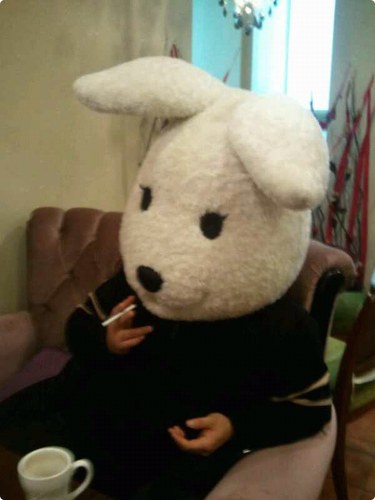 Sean_FPN's profile picture. 