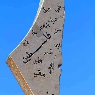 fouadhassaan's profile picture. 