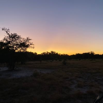 CryptoShanini's profile picture. 