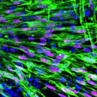 Relaix Lab (@relaixlab) 's Twitter Profile Photo Relaix Lab (@relaixlab) 's Twitter Profile Photo