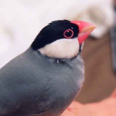 くにさんのプロフィール画像
