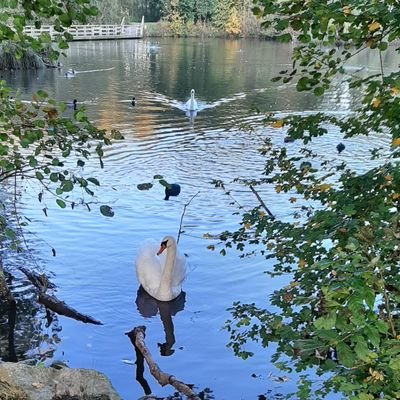 Hondenvriend 🐕, hobbyfotograaf 📸, natuurliefhebber 🏕 en wandelt 🕺 graag.