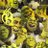 shrek_88's profile image