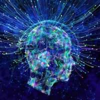 NeurosciencePDN (@neurosciencepdn) 's Twitter Profile Photo NeurosciencePDN (@neurosciencepdn) 's Twitter Profile Photo