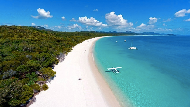 baothy14368938's profile picture. nguyen bao thy