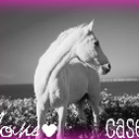 Casey Clarke - @ponybridles - Twitter