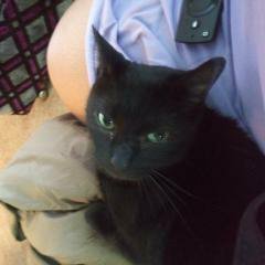 sassy082288's profile picture. 