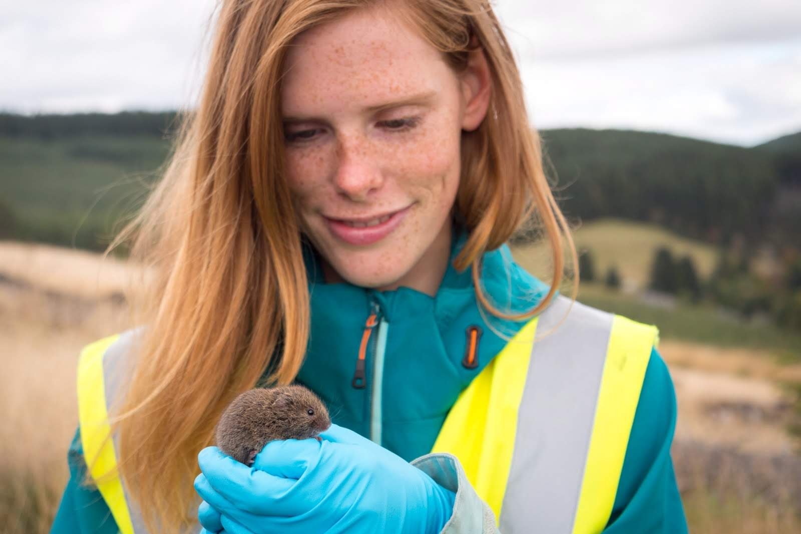 @EastbioDTP PhD @UniversityofAberdeen, studying the ecology of vector-borne diseases in natural host populations🐭