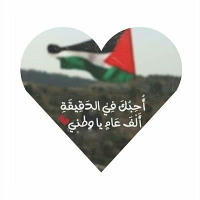 HQazaer's profile picture. ‏هند من غزة 
عمري 20 سنة 
ادرس وسائط متعددة 💚👩‍💻