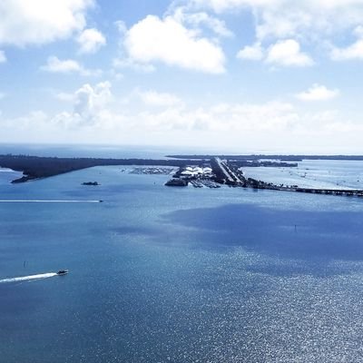 hslilibeth's profile picture. 