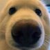 . (@implicitmemes) Twitter profile photo . (@implicitmemes) Twitter profile photo