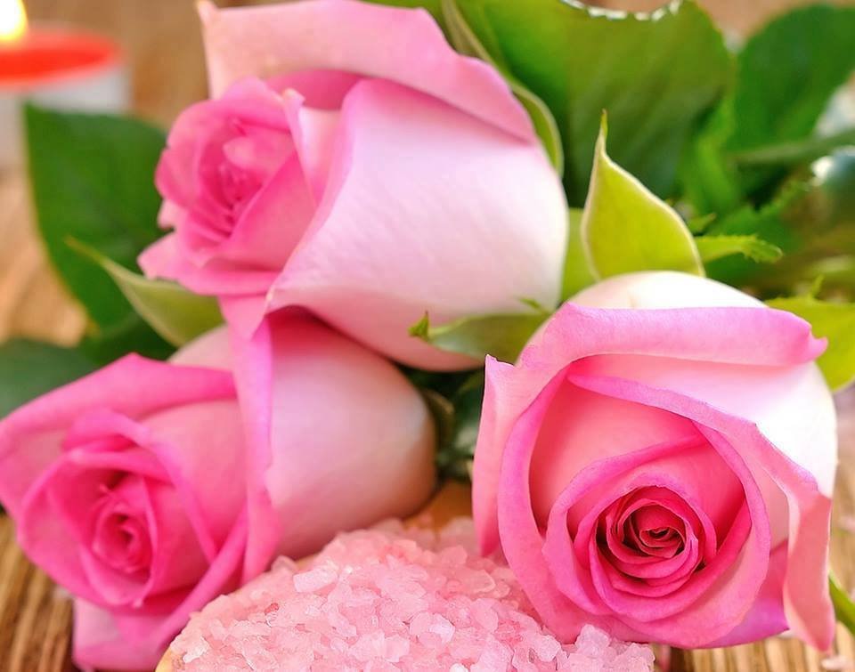 HelaAziza's profile picture. 