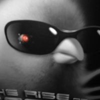 YourGroyps's profile picture. Welcome to the radio hour with Ducking Your Groyps!, the continental shelf’s only fictional podcast where we really duck your groyps.