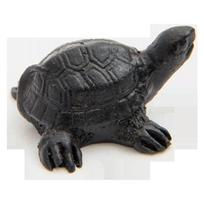 Tortuga Negra