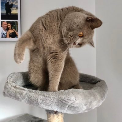 Crazykis3's profile picture. Become what you are💋💐🥂🍾🍸🍷