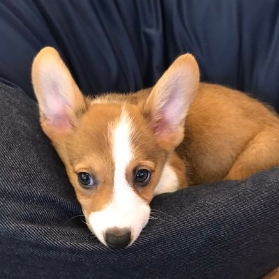 4AivYgl11J3XfIP's profile picture. 食べるの大好き❤子供2人のママです✨料理は苦手だけど💦毎日頑張ってご飯作ってます‼️出来る事なら週1外食に行きたい😂😂😂