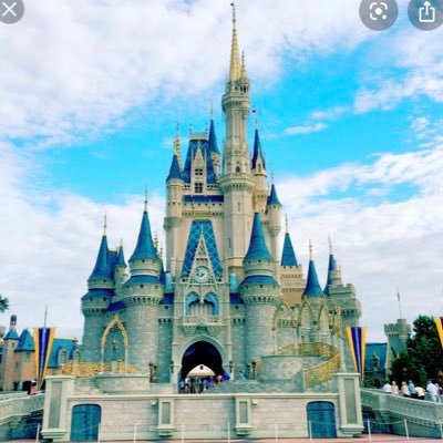 From Chicago I love all things Disney especially Disney World!!!