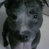 dmk_ted's profile picture. 