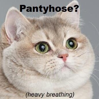 FreakTights's profile picture. I'm addicted to tights, to the point it's my entire sexuality. I'm also into anime, cute things, memes, and creative works, like art or writing.
(Adults Only)