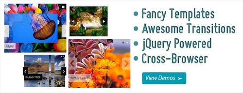 jQuery Slideshow - awesome jQuery Image Slideshow plugin. 12 unique transition effects.
Clean & valid markup. Built in directional and control navigation. Free