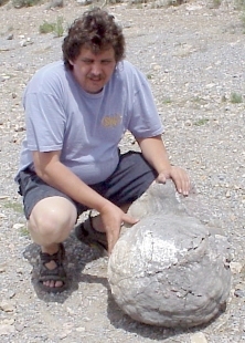 WesternSlopeWeb's profile picture. Providing quality, affordable web designs for the Western Slope community!