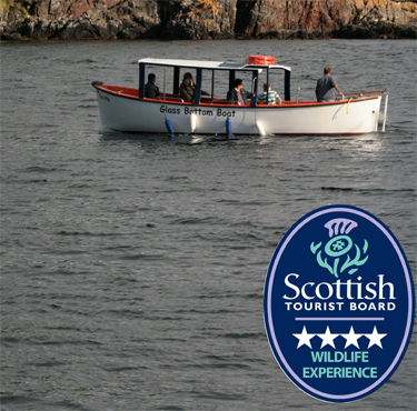 Gairloch's only award winning 4 star wildlife experience. Discover above the water, below the water and beyond...