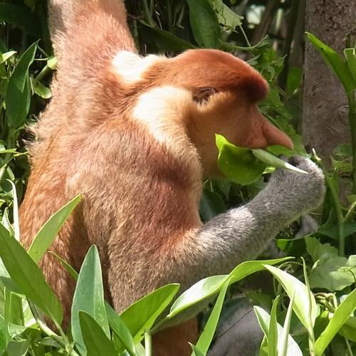 生き物の観察とコーヒーが好きな男の子。