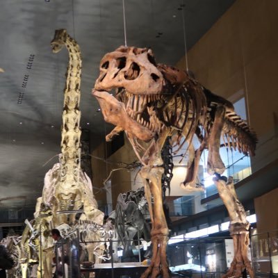 Dinosaur Profile