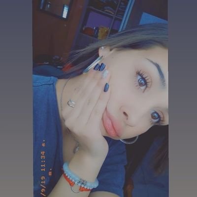 🐍mica