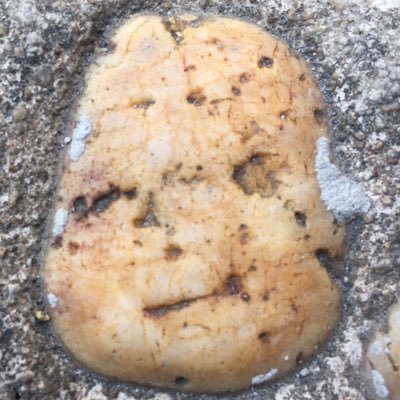 rasaq369's profile picture. hi