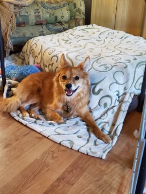 mullydados's profile picture. I like video games, D&D, and watching people play both of those.