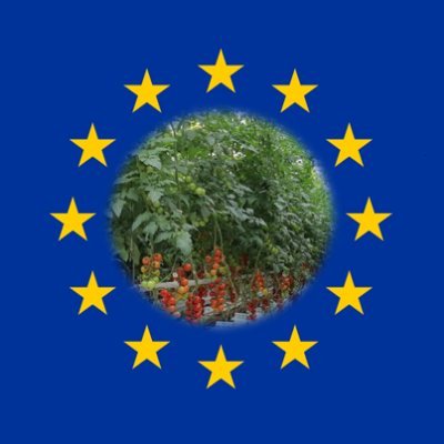 European Union Reference Laboratory for Pest of Plants on  Virusses, Viroids and Phytoplasmas