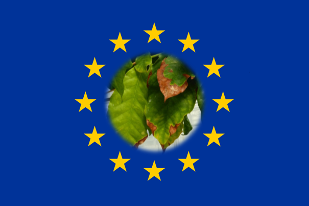 EurlBacteria's profile picture. European Union Reference Laboratory for Pest of Plants on Bacteria