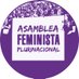 Asamblea Feminista Plurinacional (@afeministachile) Twitter profile photo Asamblea Feminista Plurinacional (@afeministachile) Twitter profile photo