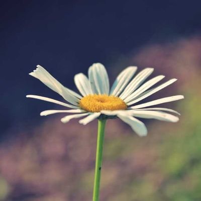 EkoPaksi1's profile picture. manusia Yang tak luput dari salah.. yg begitu banyak kekurangan