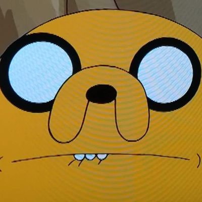 zigzigspa's profile picture. 三鷹市