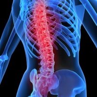 Back Pain (@backpainstore) 's Twitter Profile