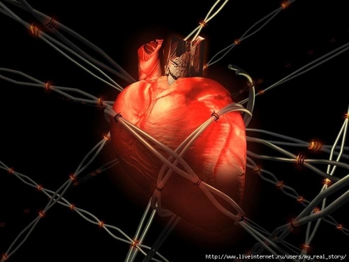 wryrokoburughe's profile picture. Russian rap artists